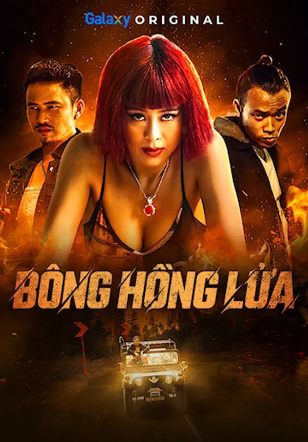 Poster phim Bông Hồng Lửa trên PhimMoi
